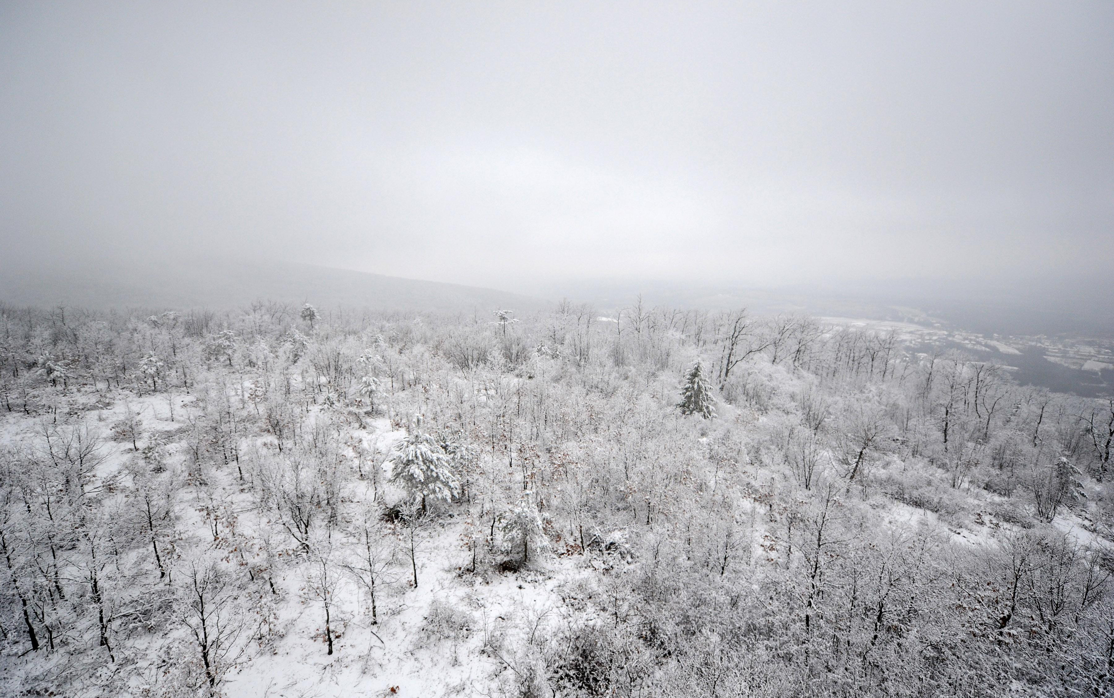 JOŠ JEDNA ŽTVRA LEDENOG VREMENA U SRBIJI: ​Muškarac pronađen mrtav u snegu kod Bosilegrada!